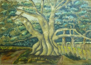 Henry Daley - Cotton Tree, 1944 (Collection: National Gallery of Jamaica)